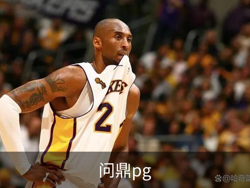 问鼎pg简介